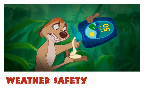Theme Park Safety Tips